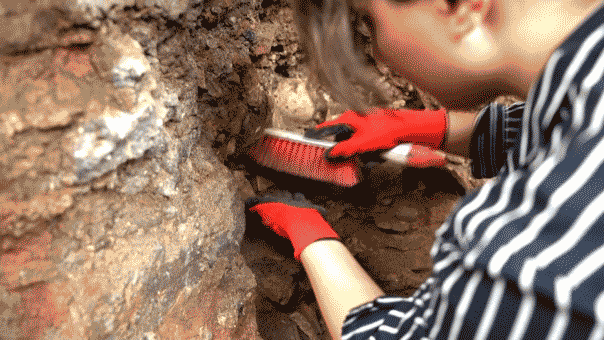 blog
